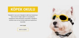 Pozitif Köpek Eğitimi #Css-Templates-Tr-Seo-One-Item-Suffix