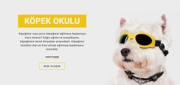 Pozitif Köpek Eğitimi - Tek Sayfalık Şablon Ilhamı