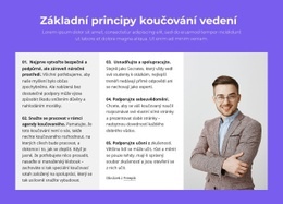 Základní Principy Koučování Vedení – Prémiová Šablona