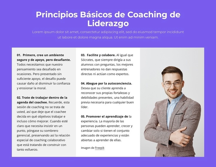Principios básicos del coaching de liderazgo Maqueta de sitio web