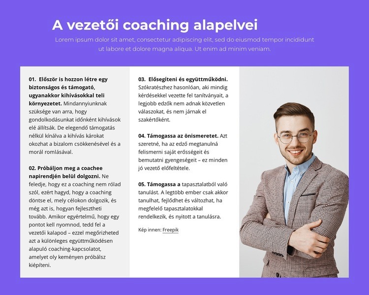 A vezetői coaching alapelvei Weboldal sablon