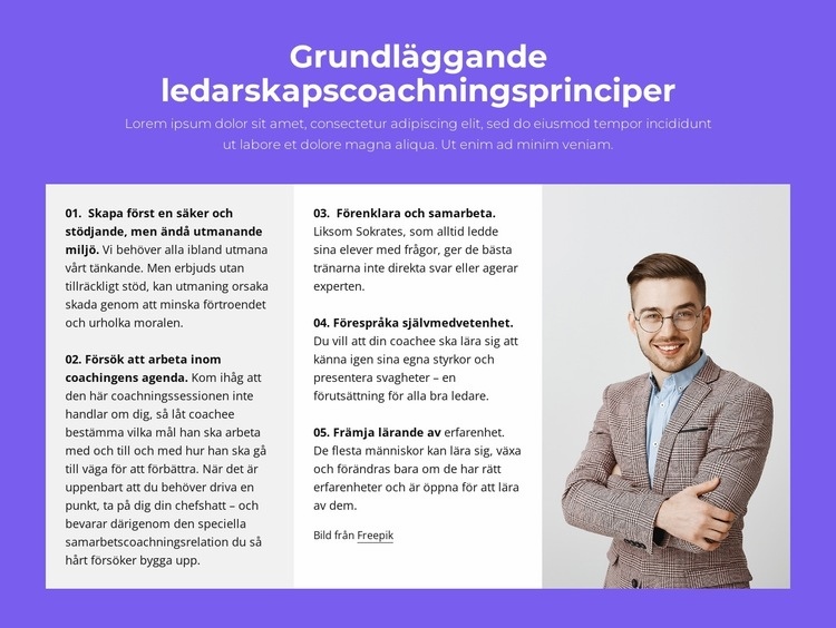 Grundläggande ledarskapscoachningsprinciper CSS -mall