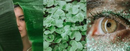 Zelená Image Móda – Návrh Webových Stránek Šablon