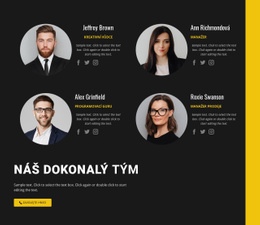 Náš Tým Pro Podnikání – Šablona Stránky HTML