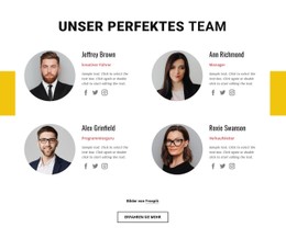 Perfektes Business-Team