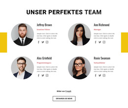 Perfektes Business-Team