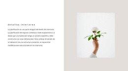 Diseño De Sitio Web Detalles Para El Interior Para Cualquier Dispositivo