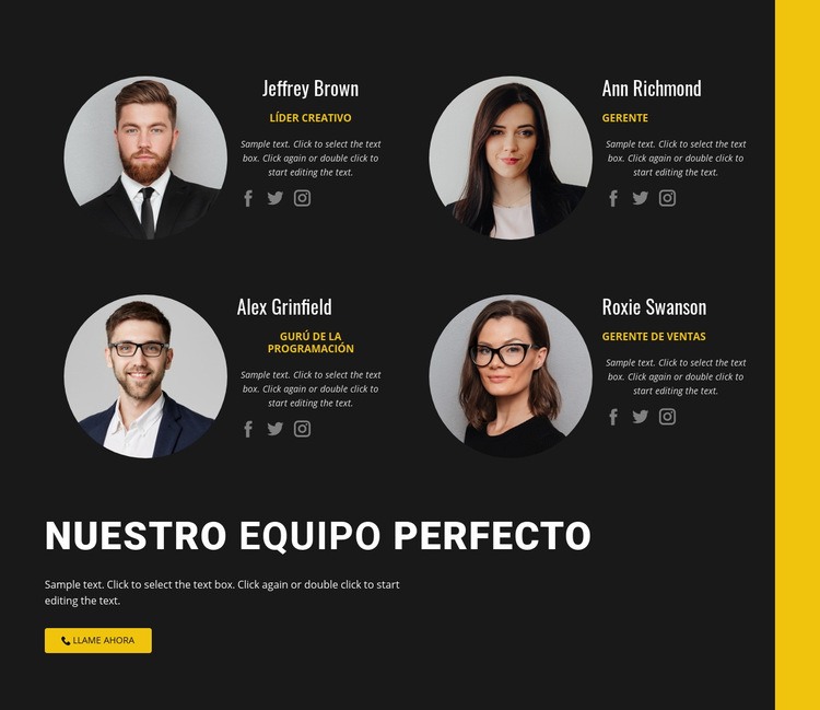 Nuestro equipo de negocios Diseño de páginas web