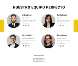 Equipo De Negocios Perfecto Plantilla De Sitio Web HTML CSS