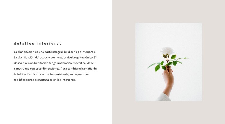 Detalles para el interior Plantilla CSS