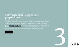 Texto En El Fondo - Tema Premium De WordPress