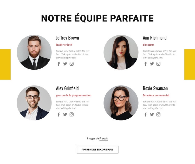 Équipe commerciale parfaite Conception de site Web