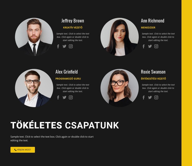 Üzleti csapatunk Weboldal tervezés