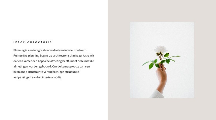 Details voor interieur Website mockup