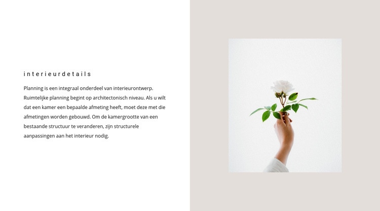 Details voor interieur Website ontwerp