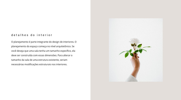 Detalhes para interior Modelo HTML