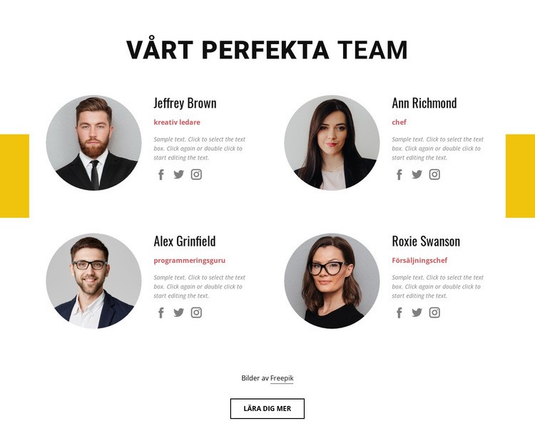 Perfekt affärsteam WordPress -tema