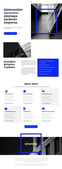 Organize Etmede Yardım Için Web Sitesi Tasarımı