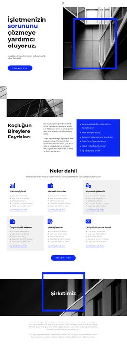 Organize Etmede Yardım Için Kullanıma Hazır Site Tasarımı