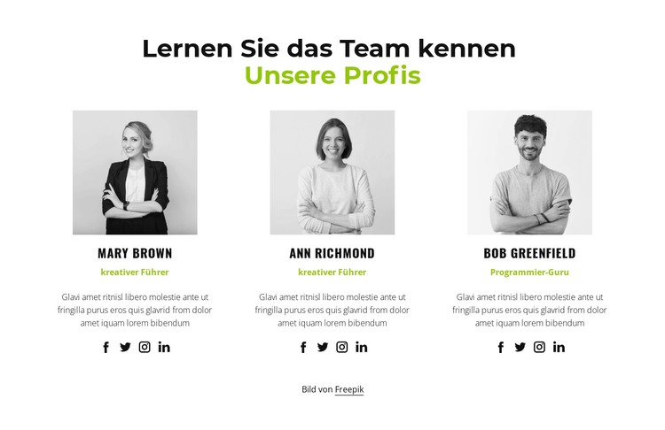 Unsere Profis CSS-Vorlage