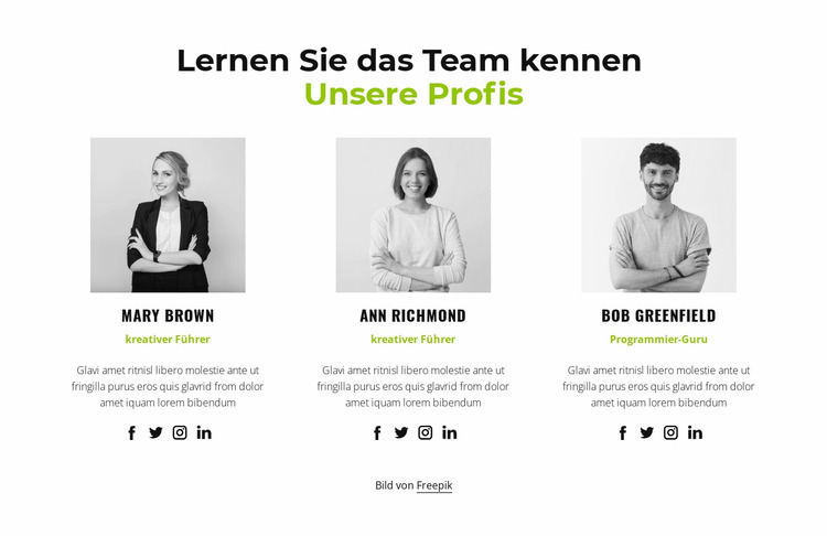 Unsere Profis Joomla Vorlage