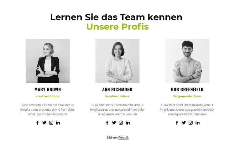 Unsere Profis Website Builder-Vorlagen