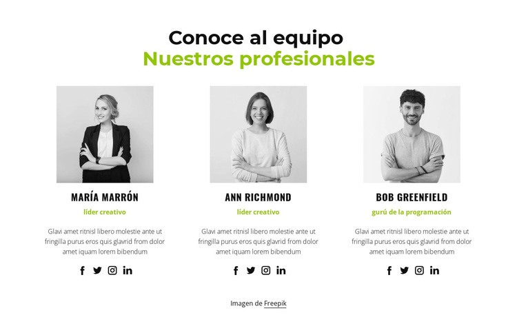 Nuestros profesionales Plantillas de creación de sitios web