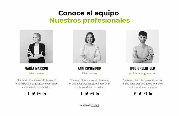 Nuestros profesionales Plantilla Joomla