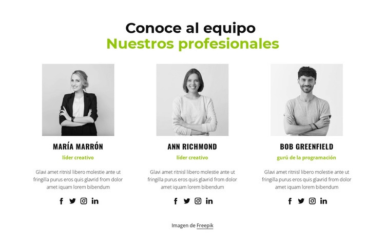 Nuestros profesionales Plantilla