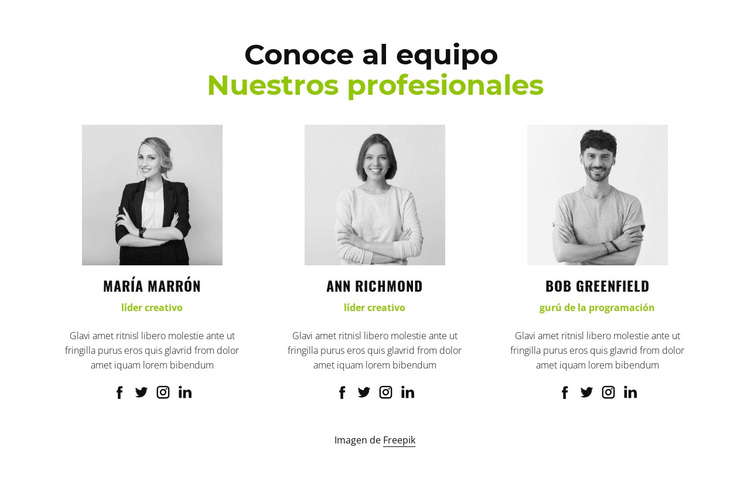 Nuestros profesionales Tema de WordPress