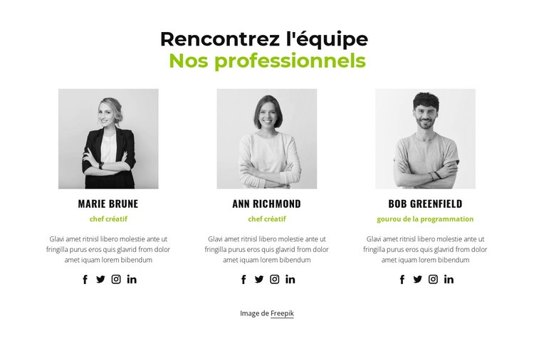 Nos professionnels Créateur de site Web HTML