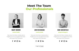 CSS Template For Our Professionals