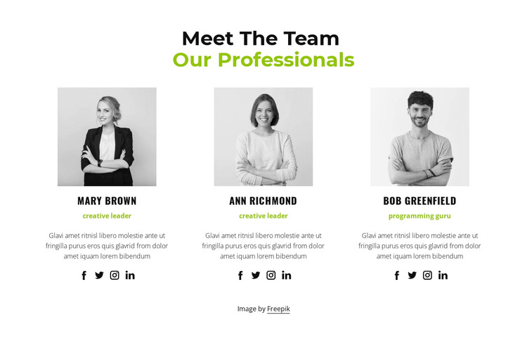 Our professionals HTML5 Template