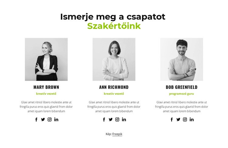 Szakembereink WordPress Téma