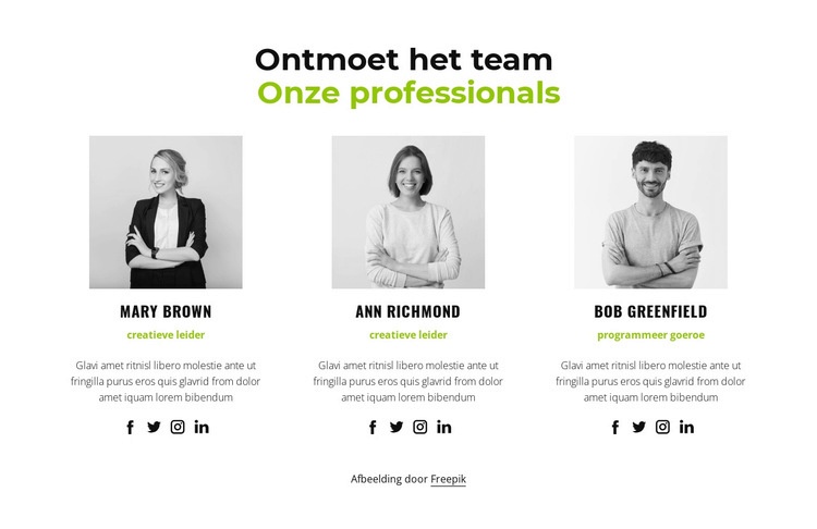 Onze professionals Bestemmingspagina