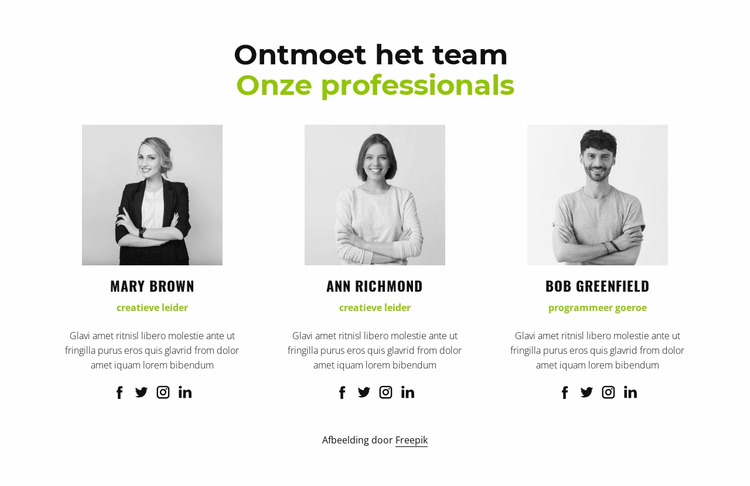 Onze professionals Joomla-sjabloon