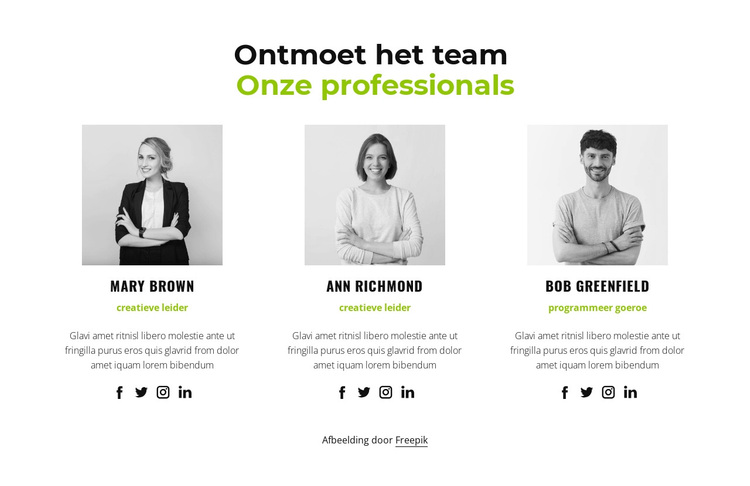 Onze professionals WordPress-thema