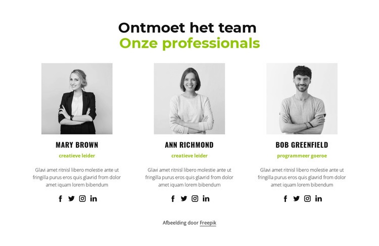 Onze professionals Website mockup