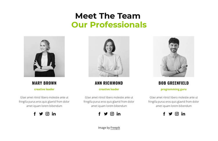 Our professionals One Page Template