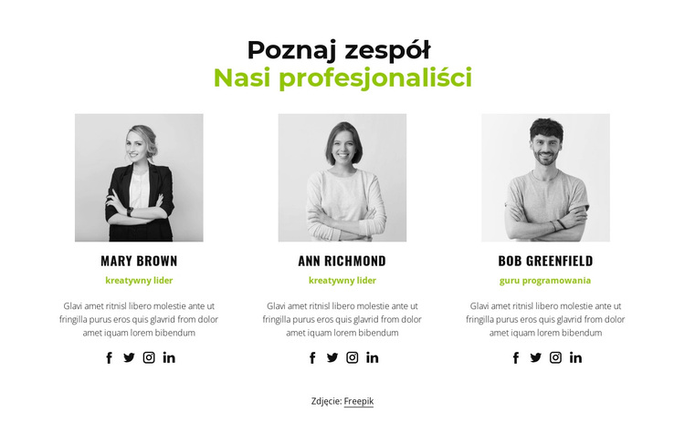 Nasi profesjonaliści Motyw WordPress