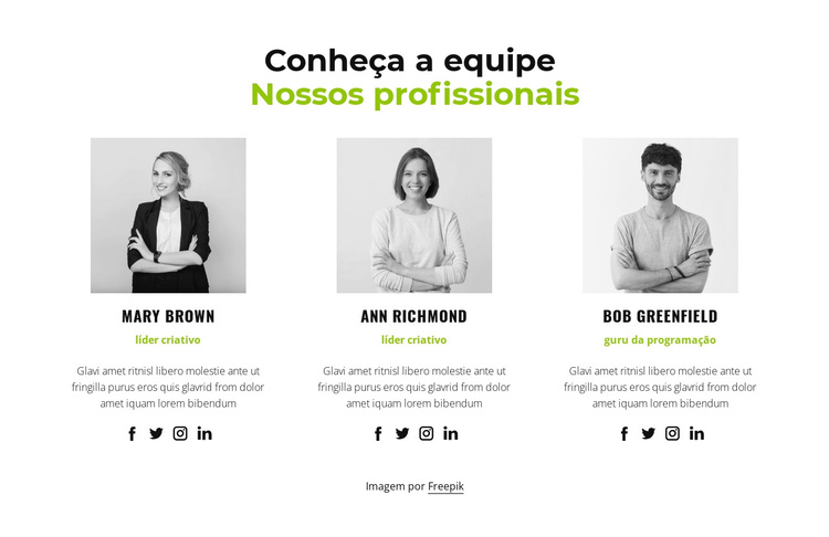 Nossos profissionais Tema WordPress