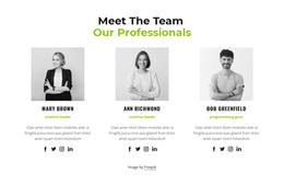 Our Professionals - Personal Website Template