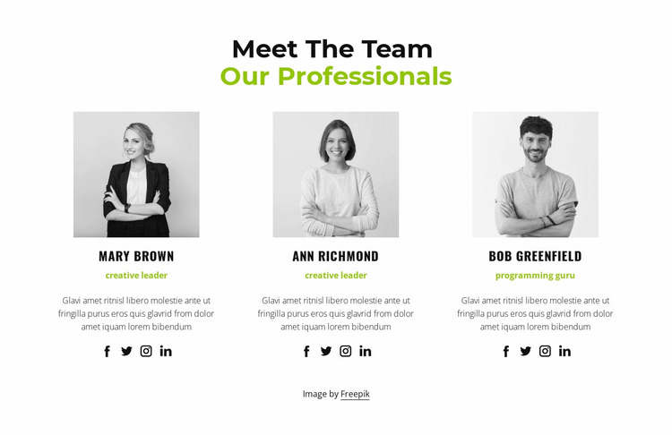 Our professionals Website Mockup