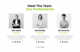 Our Professionals - Beautiful Color Collection Template