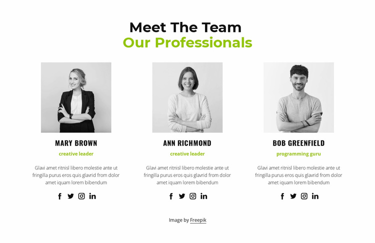Our professionals Website Template