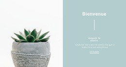 Créateur De Sites Web Polyvalents Pour Beaux Pots