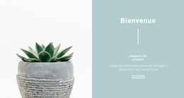 Beaux Pots – Modèle De Site Web HTML