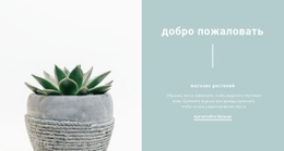 Красивые Горшки – HTML-Шаблон Сайта