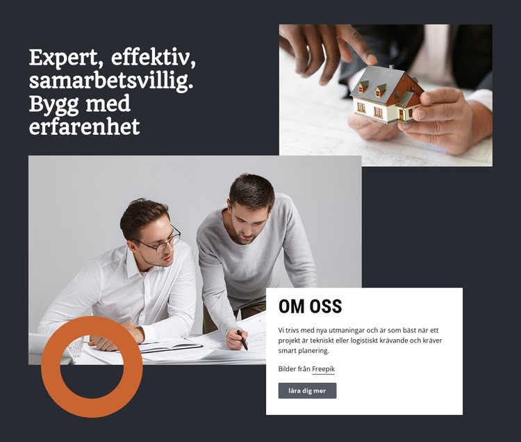  Arkitektur experttjänster CSS -mall