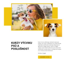 Kurzy Výcviku Domácích Mazlíčků – Téma WordPress A WooCommerce